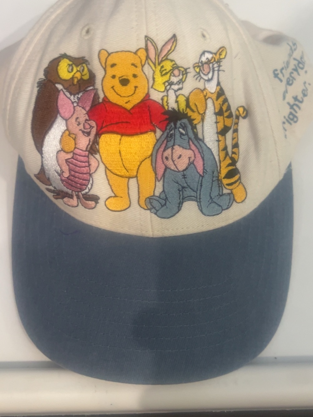 Winnie the Pooh Group Embroidered Kids Hat - Cream & Blue